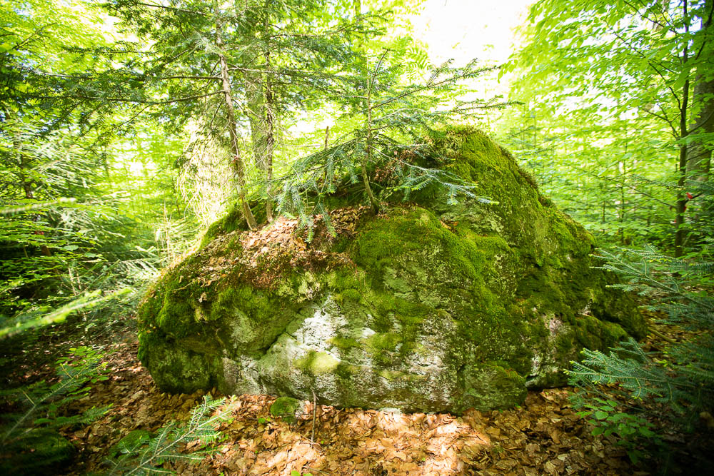 Bayerisch Eisenstein