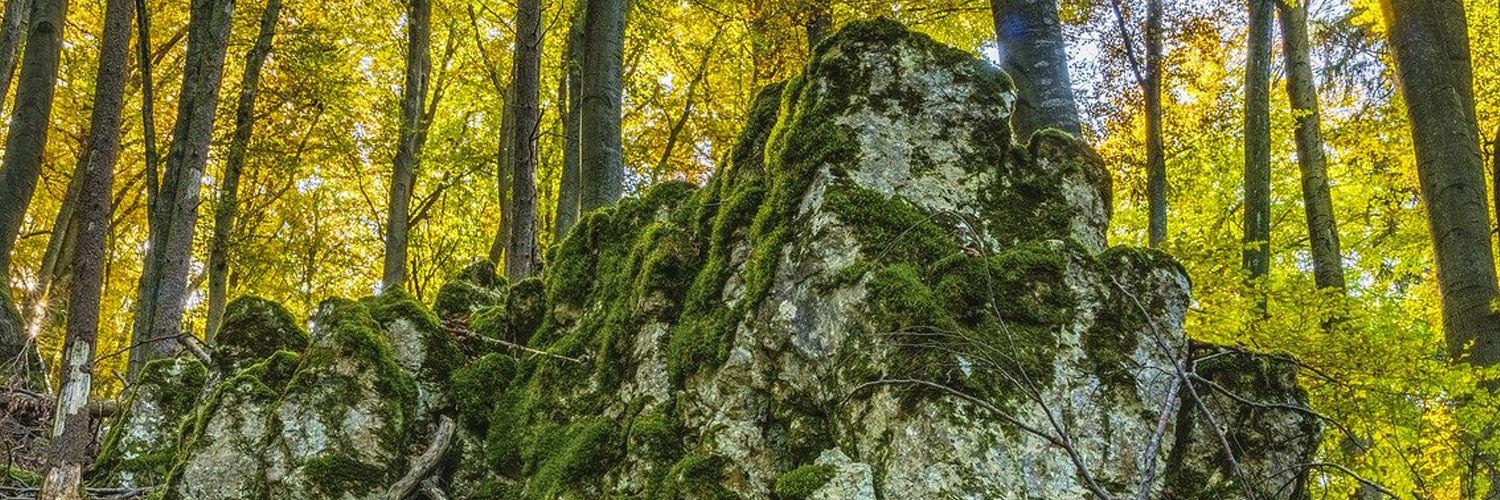 Bayerisch Eisenstein Trauerwald Naturfriedhof